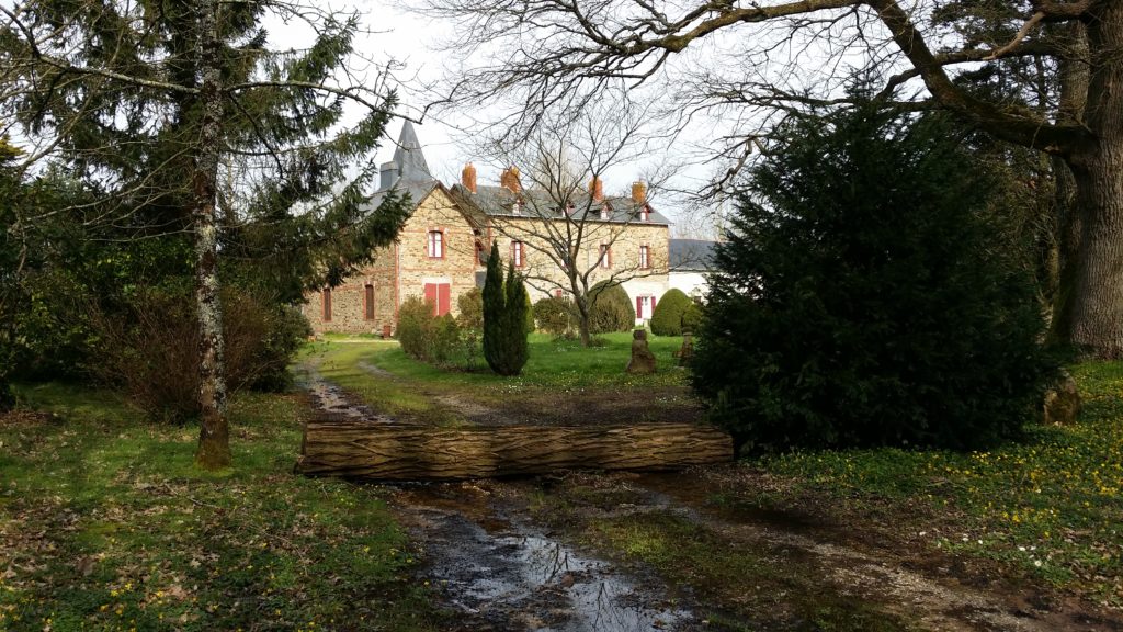 Bois-Corbeau, Cheix-en-Retz, patrimoine en péril, accès barré par un tronc d'arbre, 9 mars 2020.